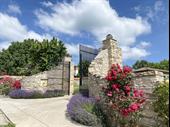 boutique winery with established