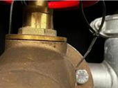 growing dynamic manufacturer of