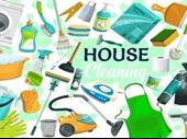 solid reputable professional cleaning
