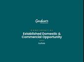 domestic commercial cleaning business