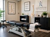 established south fl chiropractic