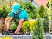 highly profitable full-service landscaping