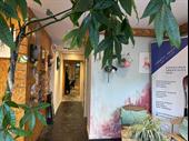 established art events creative