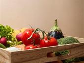 wholesale fruit veg distribution