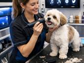 premium mobile pet grooming