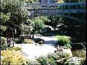 well established gta landscaping