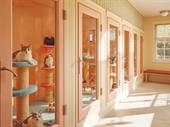 upscale feline boarding business