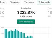 highly profitable cash-flowing e-commerce