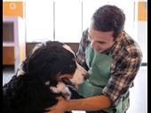profitable pet care boarding