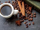 boutique coffee shop espresso