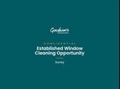 established window cleaning business
