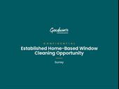 established window cleaning business
