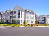 24yr established property management