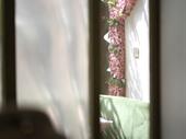 premium beauty salon city