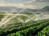thriving irrigation pumps business