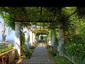 50-cover italian restaurant for