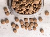 10-year-old top aquafeed producer