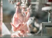 established meat production business