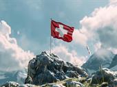 12-year-old swiss management legal