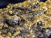 licensed gold base metals