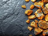 brazilian gold project for