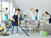 established cleaning company abu
