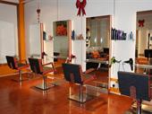 well-established hair salon for