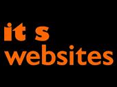 established web design franchise