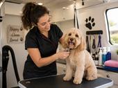 mobile pet grooming 230k