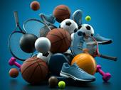leading sporting goods franchise