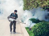 long island pest control