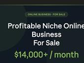 profitable niche weekly newsletter