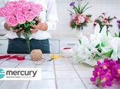 artificial plant installation biz