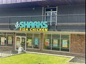 well-established shark s fish