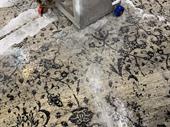 rug cleaning business sydney