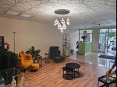 premium iv wellness business