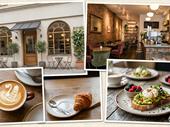 established profitable cafe under