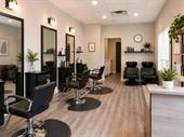 phenix salon suites franchise