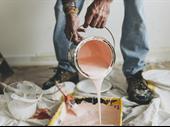 painting company for sale