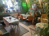 licenced cafe bar plants