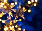 landscaping holiday lighting business