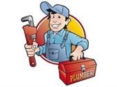 established commercial plumbing company