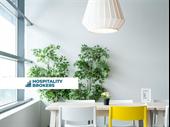 restaurant returns daytime lifestyle