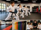 absentee martial arts academy