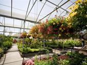wholesale retail nursery established