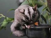 profitable pest control business