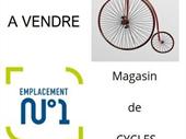 bicycle shop ille-et-vilaine for