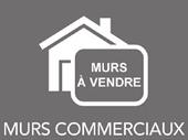 commercial premises with apartment
