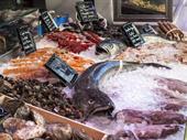 fishmonger for sale