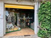 tenanted commercial property for